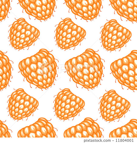 Seamless pattern with decorative raspberries Seamless pattern with decorative raspberries 11804001