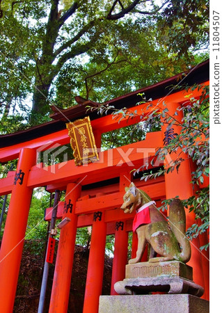 伏見Inari Taisha 伏見Inari Taisha 11804507