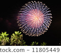 Fireworks 11805449