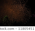 Fireworks 11805451