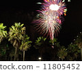 Fireworks 11805452