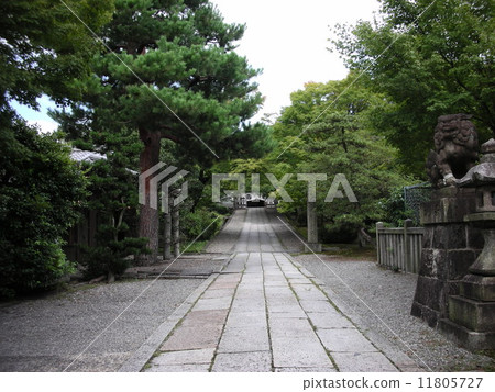 Nursery home Nursery home 11805727