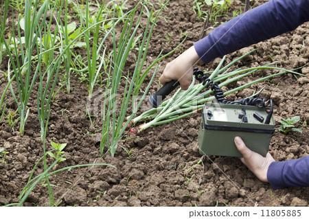 Measuring radiation 11805885