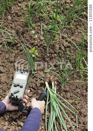 Measuring radiation 11805886