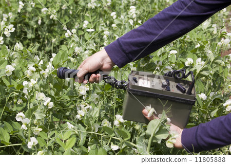 Measuring radiation 11805888