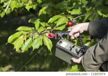 Measuring radiation Measuring radiation 11805974