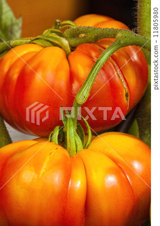 Ripe and juicy beefsteak tomatoes Ripe and juicy beefsteak tomatoes 11805980