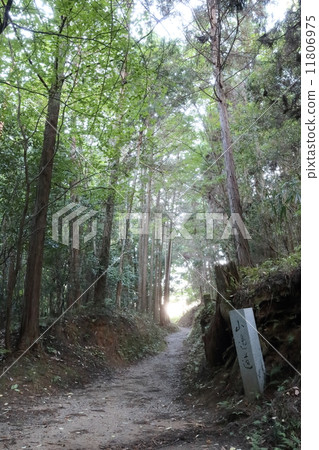 山路（奈良） 11806975