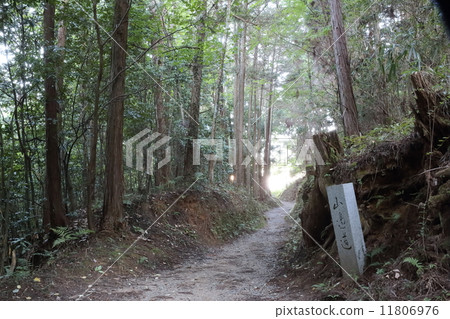 Road around the mountain (Nara) 11806976