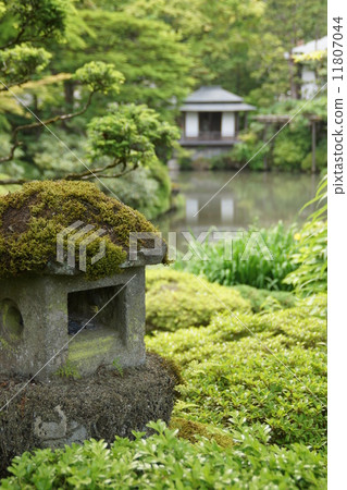 Mossy lantern 11807044