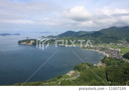 Suozu Oshima 11807289