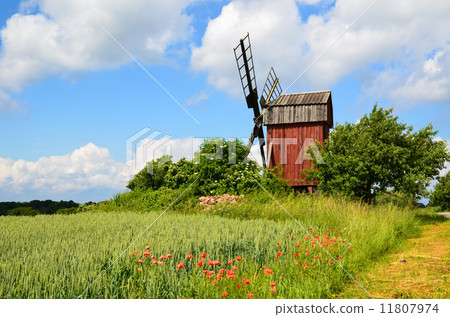 Old red windmill 11807974