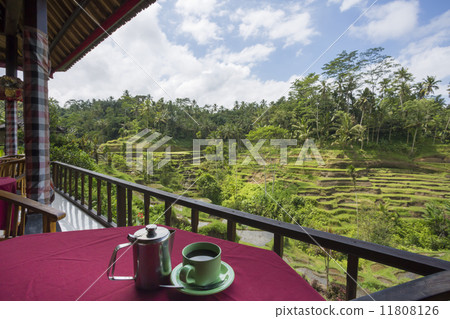 Coffee break while watching rice terraces 11808126