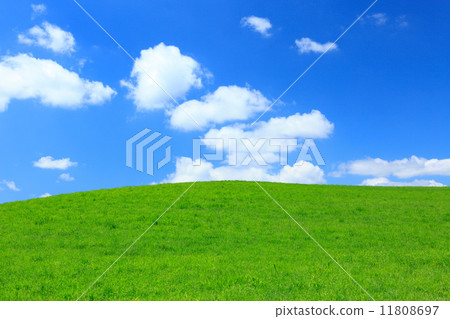 富良野大草原和雲彩在北海道 11808697