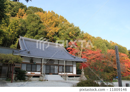 Fudoca 11809146