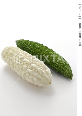 苦瓜 11809201