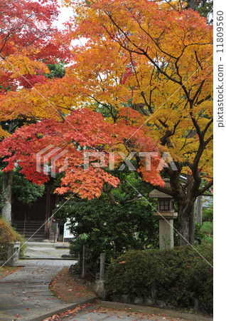 Fall of Kyoto Kamikoin Fall of Kyoto Kamikoin 11809560