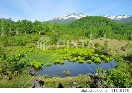 長野縣Norikura Kogen高速公路池塘和Norikura-dake 11810578