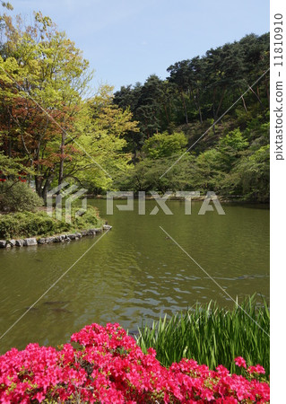 Wolong Park Wolong Park 11810910