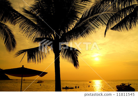 在南方國家的日落 11811545