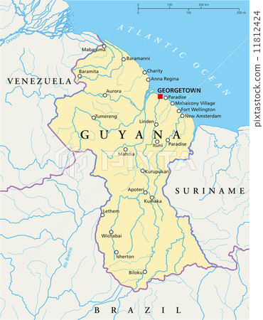 Guyana Political Map 11812424