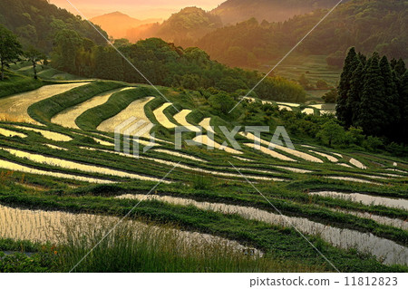 Dawn of the rice terrace Dawn of the rice terrace 11812823
