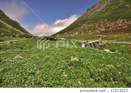 Flower garden of Norikura dake 11813023