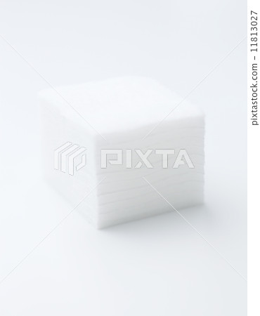 棉花 棉花 11813027