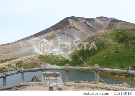 北海道在夏天 北海道在夏天 11814018