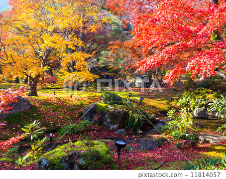 Jokoin Shishon garden 11814057