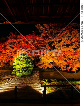 The autumnal leaves light up of Nanzenji and Tensenan 11814080