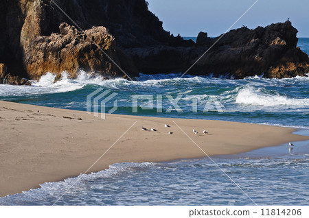 The tide The tide 11814206