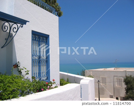 One of the scenic view in Sidi Bou Said, Tunisia 11814700