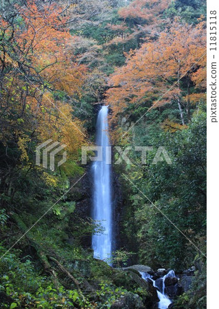 Yoro沒有瀑布 11815118