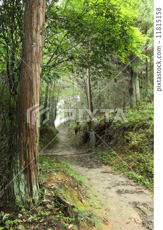 山路(奈良) 山路(奈良) 11815158