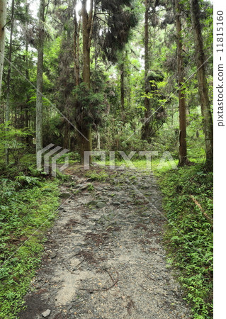 山路（奈良） 11815160