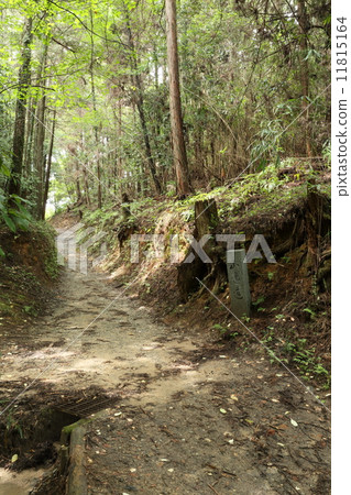Road around the mountain (Nara) Road around the mountain (Nara) 11815164