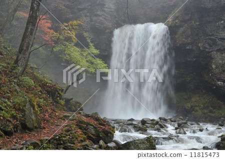 Couple's waterfall 11815473