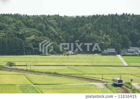 穿過水稻種植的稻田和鐵路NT 200柴油 穿過水稻種植的稻田和鐵路NT 200柴油 11816435