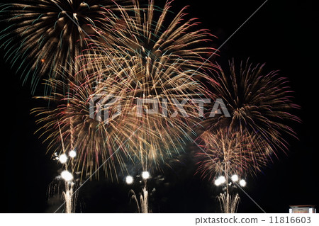 2014年古河煙花節 11816603