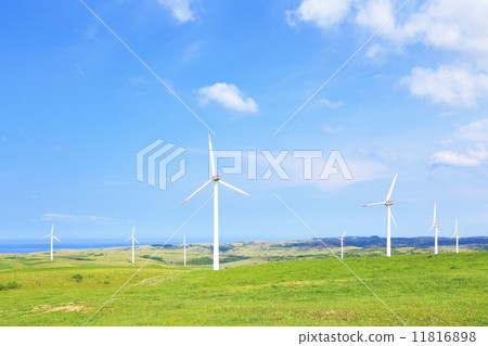 大豆角風電場 11816898