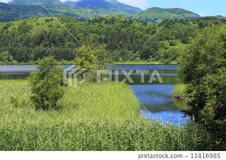 Rishiri Island · Otatomari swamp 11816985