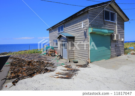 利尻島和大磯的干燥 11817047