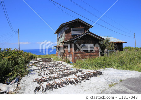 利尻島和大磯的干燥 11817048