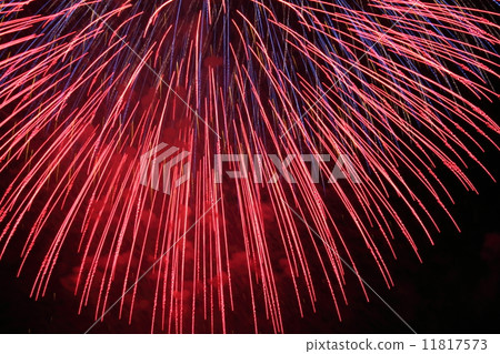 煙花 11817573