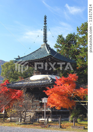 Kowoji Koidoji寺 11817814