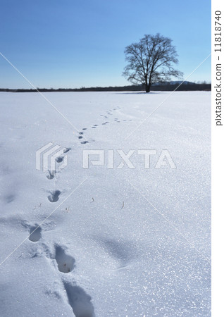 Footprint growing to Harnile 11818740