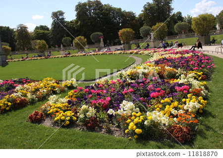 Luxembourg garden flower Luxembourg garden flower 11818870