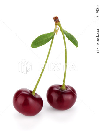 Two ripe cherries 11819062