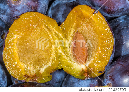 plums plums 11820705